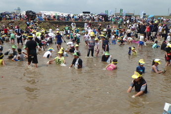 せき止めた川に入り魚を捕まえる参加者と、川の周りで見ている大勢の人々