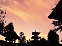 秋の夕べ