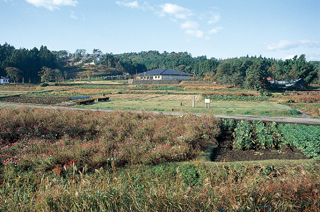 那須官衙遺跡