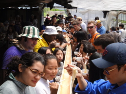 流しそうめんをしている写真