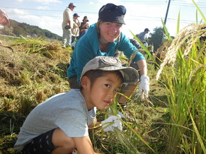 稲刈りをする外国人女性と男の子の写真1