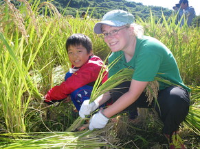 稲刈りをする外国人女性と男の子の写真2