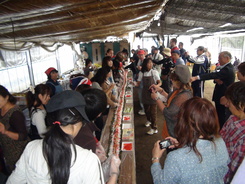 長い巻き寿司を作る参加者の写真