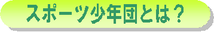スポーツ少年団とは? スポーツ少年団とは?