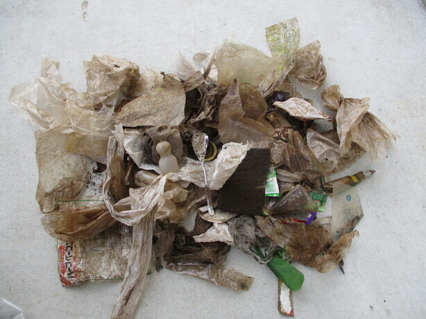 生ごみに混入していた異物の写真