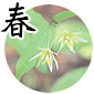 春の山野草の画像