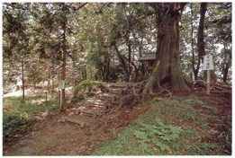 武茂城跡の写真