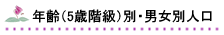 年齢(5歳階級)別・男女別人口