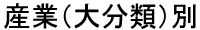 産業（大分類）別