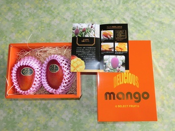 化粧箱に入ったなかよしマンゴーの写真