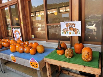 ハロウィンかぼちゃが販売されている写真