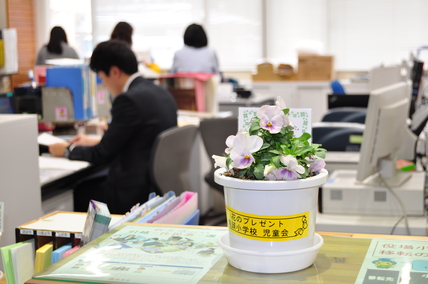 窓口に置かれた薄紫色のパンジーの写真