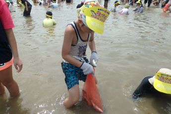 捕まえた鮎を網に入れる男の子の写真