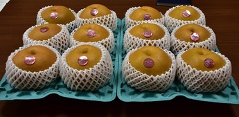 縦列3個横列4個合計12個の梨が並ぶ写真