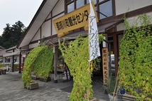 グリーンカーテンの写真2