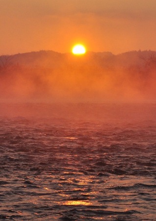 初日の出の写真1