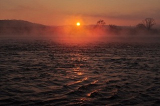 初日の出の写真3