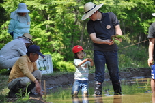 親子で田植えをしている写真