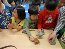 本物の恐竜の化石を触る子どもたちの写真