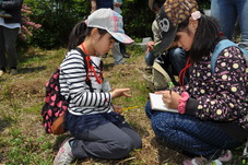 スケッチをする子どもたちの写真