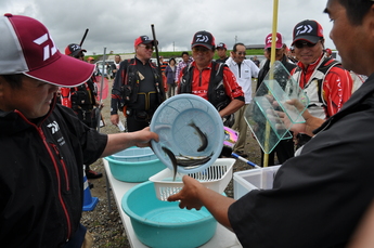 釣った鮎の検量をしている写真