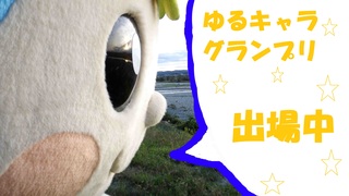 なかちゃんの写真