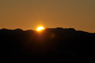 初日の出の写真1