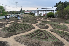 模様がある庭の写真