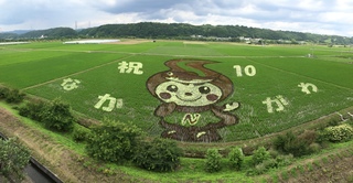 なかちゃん田んぼアートの写真