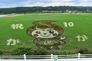 葉が色づいた田んぼアートの写真