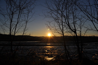 初日の出の写真1