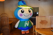 なかちゃんの写真