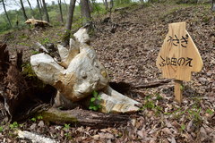 うさぎのオブジェの写真