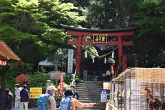 神社の写真