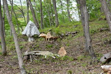 教育長賞受賞作品の写真