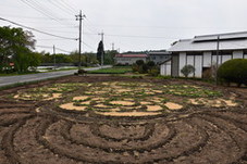 観光協会長賞受賞作品の写真