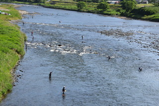 アユ釣りをする人々の写真1