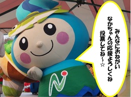 なかちゃんの写真