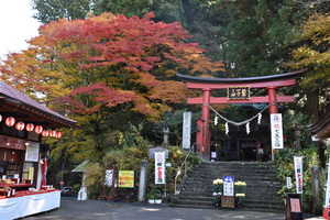 鷲子山上神社の紅葉の写真1
