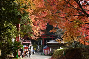 鷲子山上神社の紅葉の写真2