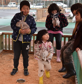 うさぎと触れ合う子どもたちの写真