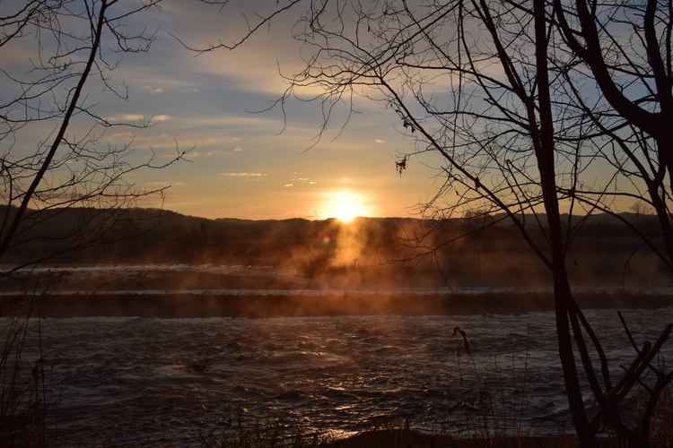 初日の出の写真1