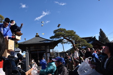 ガラマキの写真