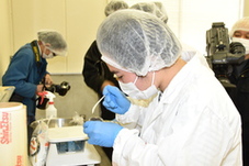 瓶詰めをしている写真