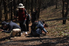 花を見る人たちの写真 花を見る人たちの写真