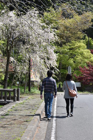 歩いている夫婦の後ろ姿の写真