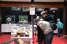 御神刀を見る人の写真