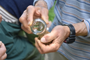 牛乳瓶で艶出しをしている写真