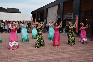 フラダンスの写真 フラダンスの写真