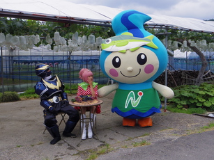 ダイジ撮影の写真